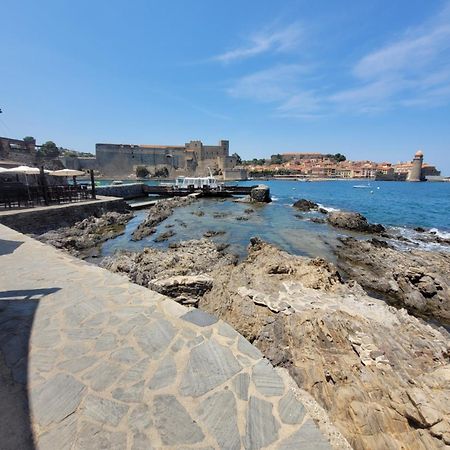 Collioure Tres Bel Appart A 150 Metres Des Plages Avec Jardin Prive Et Parking Dans Residence Securisee Экстерьер фото